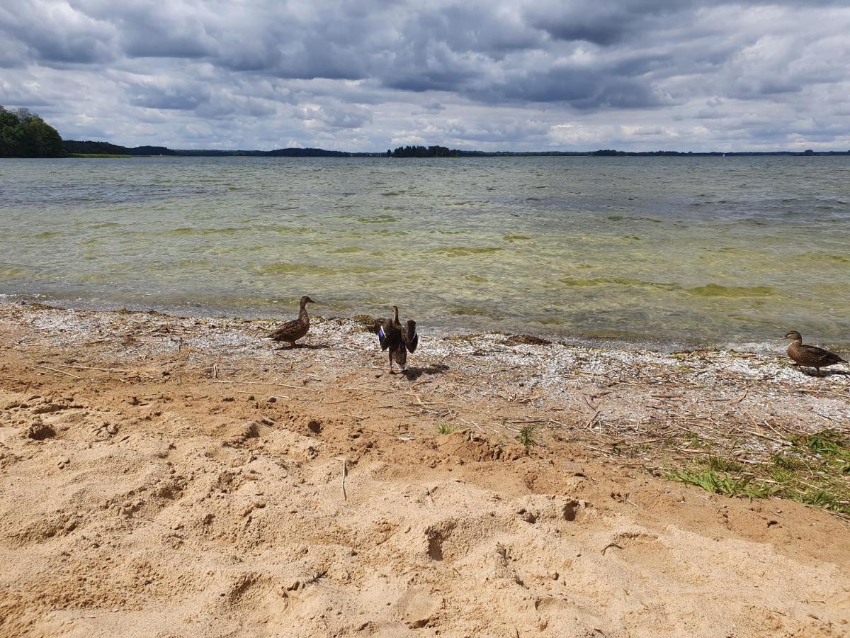 Fuledzki Bialy - Mazury, Jacuzzi, Sauna, Gizycko * Fuleda