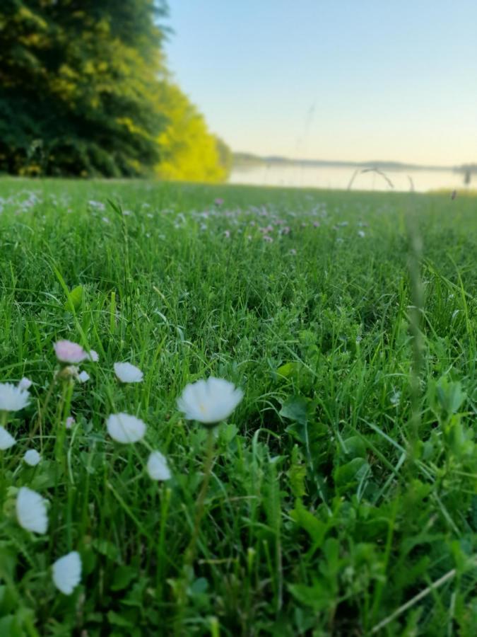 Fuledzki Bialy - Mazury, Jacuzzi, Sauna, Gizycko *